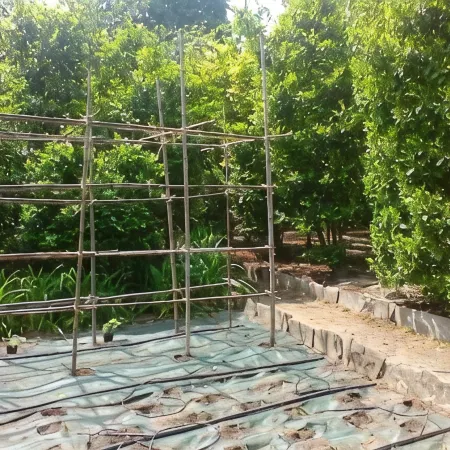Terraced studio on a botanical garden, facing lake Maggiore