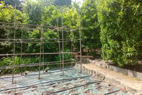 Terraced studio on a botanical garden, facing lake Maggiore