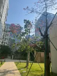 鉑京ラグジュアリー  アパートメント（深セン国際会展センター） - イン(INN)