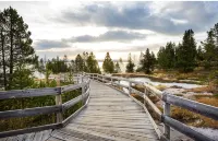 New Island Park Cabin w/ Trail Access & Trl Parking. 20 Min to West Yellowstone