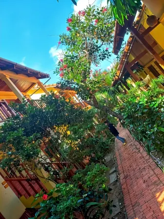 Viet Thanh Resort