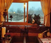 Rustic Luxury w/Horses-Historic Whiskey Distillery - Homestays
