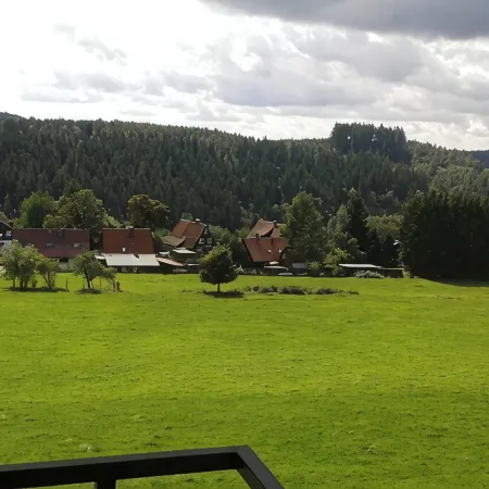 Hohegeiß: a pleasure in summer and winter