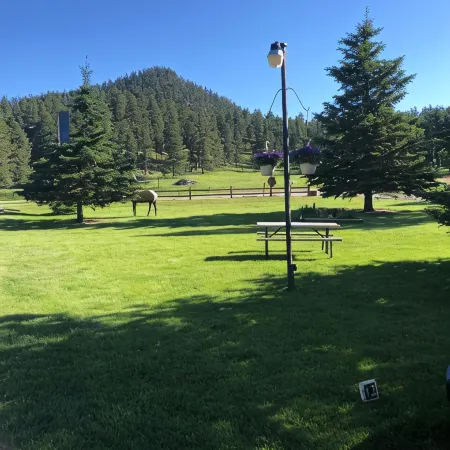 Spring Creek Inn