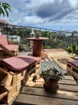 Charm of the Sun - Ponta do Sol