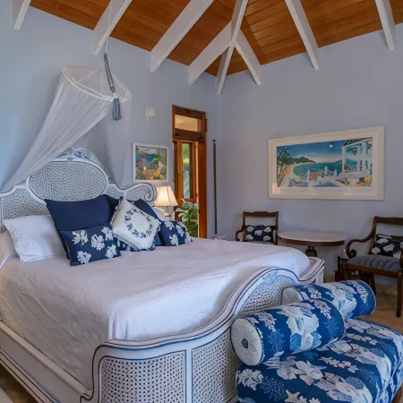Villa Delfina- Private Beach! Spacious 5 Bedroom Villa in Lower Peter Bay!