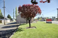 Cozy home located conveniently located in Tacoma - ห้องครัว