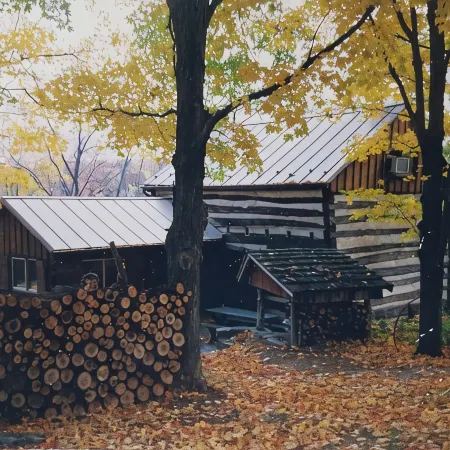 Historic pet friendly cabin with shooting range, and ATV trails on 80 acres.