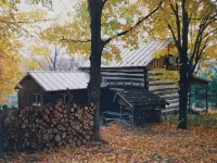 Historic pet friendly cabin with shooting range, and ATV trails on 80 acres.