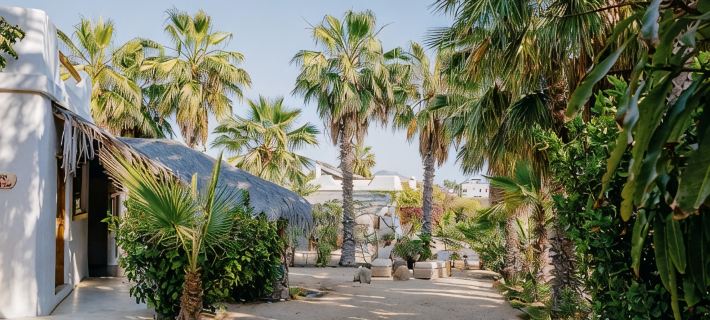 Villa Gardenia - Oceanfront House Mango Hotels in Todos Santos