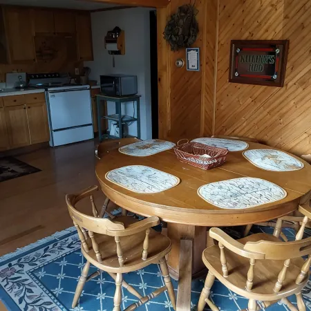 Cabin in the Heart of the Huron National Forest
