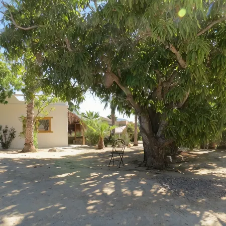Villa Gardenia - Oceanfront House Mango