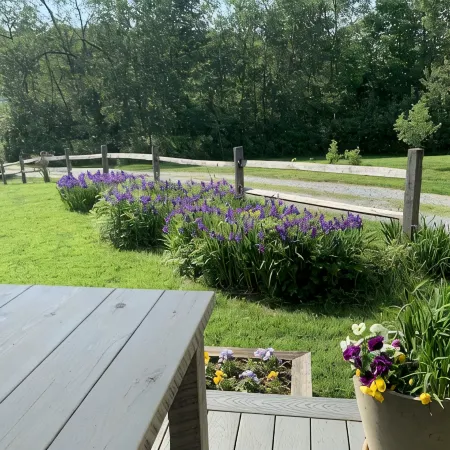 Pristine Custom Cottage, Grand Piano, Massage Studio on Site Отели в г. Аддисон