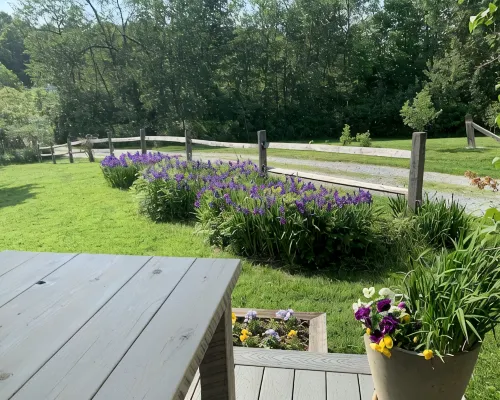 Pristine Custom Cottage, Grand Piano, Massage Studio on Site Hotels in Addison County