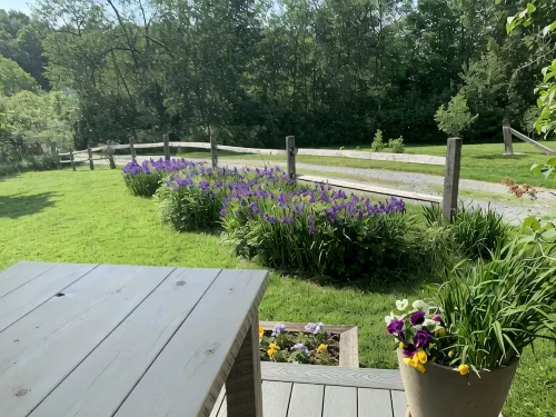 Pristine Custom Cottage, Grand Piano, Massage Studio on Site