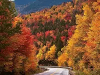 Private quiet home close to Sunday River, Bethel village, and summer recreation Hotels in Bethel