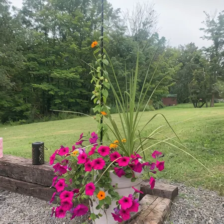 Charming 2-bedroom home in quaint Newfield with WiFi