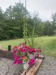 Charming 2-bedroom home in quaint Newfield with WiFi - بوتيك