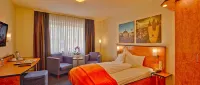 Trip Inn Hotel Zum Riesen Hanau - Parkering