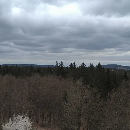 Charming apartment with distant views over the Harz Mountains - Mrs. M.