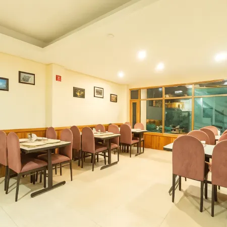 Hotel Rising Star with Garden with Private Parking Near to Mall Road