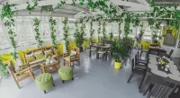 Casa Bicolandia Suites - breakfast