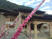 Udumwara Resort - Разрешено размещения с домашними животными