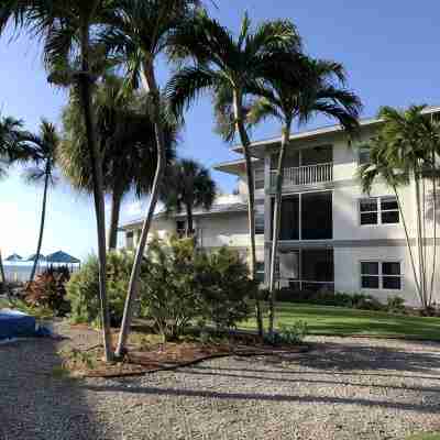 3 Bedroom  Condo on 7 Mile Beach : Beach is Back !! Hotel Exterior