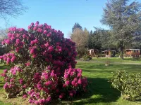 La Clé des Roulottes - Feriepark