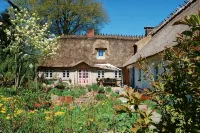 Pure idyll in a secluded location under the thatch at the edge of the forest - 2つ星