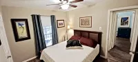 Superb,Pet Friendly. Big Backyard on Greenbelt. Heb Center. Atx Kalahari,183 - Wifi