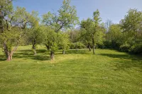 Creekside Cabin - Watkins Glen, Corning, Finger Lakes with Hot Tub - Chalets