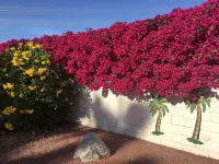 Villa Falls-Paradise for Families!, Pool Spa, 4 Hole Golf, 4 Bedrooms #065318 - نادي رياضي