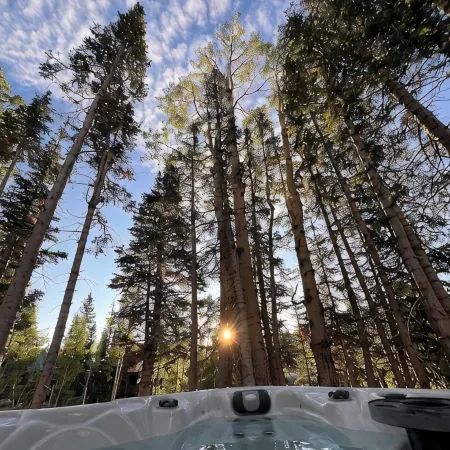 Chalet Black: Modern Ski Resort Haven in Wooded Paradise! 4 queen beds