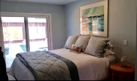 FULL OCEAN VIEW!!! 3 minute walk to beach, WiFi, Dogs welcomed upon approval - 3 tähden