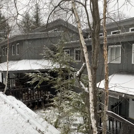 6 Guest 3Br, 2 BA Stratton Condo with Fireplace and Forest Views.