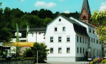 Hotel Elsenztal