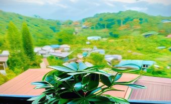 Pine Forest House Dalat
