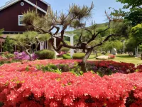 Mungyeong Verce Pension Hotels in Mungyeong-si