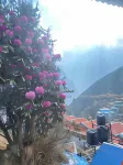Himalayan Lodge