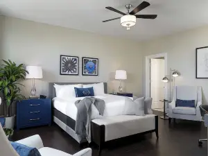 Hotel Saint Louis, Autograph Collection