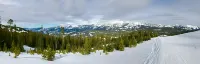 Stunning Ski-in Ski-out Saddle Ridge End Unit in Big Sky/Moonlight