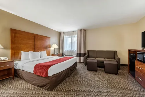 Comfort Inn South