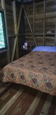 Caribbean Rainforest Home at Samasati Nature Preserve! Hotels in Talamanca