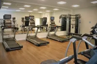 埃德蒙頓西南溫德米爾智選假日套房酒店 - 健身室/gym room