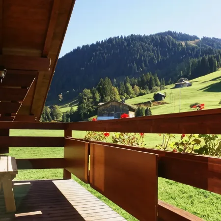 Alpenchalet Weidhaus Gstaad