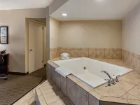 Comfort Inn & Suites Rochelle - DeKalb Hotels in Ogle County