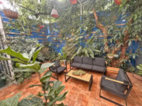 Jungla Urbana, Bnb Hotels near Jardines de Rohrmoser Park