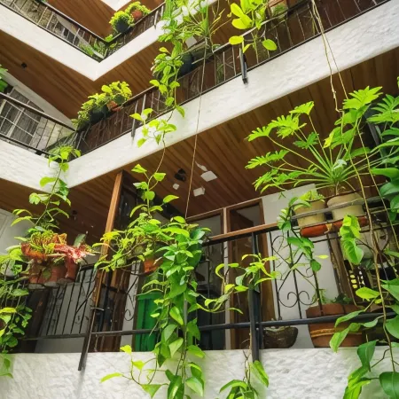 Hotel Boutique Casa del Hidalgo