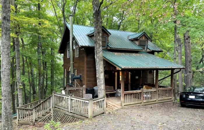 Entire cabin in Lost City, West Virginia